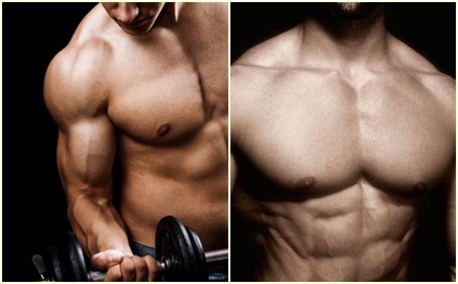 حصة الصدر و البيسبس للتركيز على الجهة العليا من الصدر