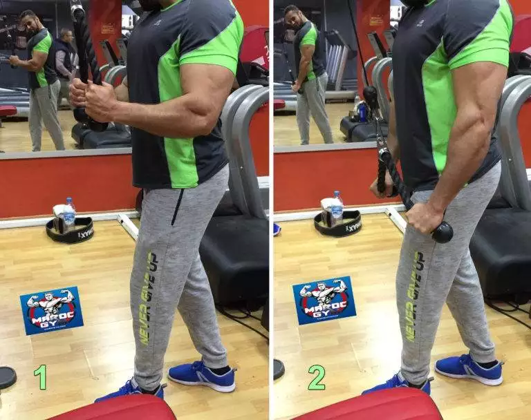 أفضل تمرين لزيادة عرض الدراع