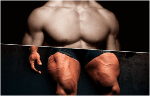 بالصور حصة الصدر و الأرجل مكررة