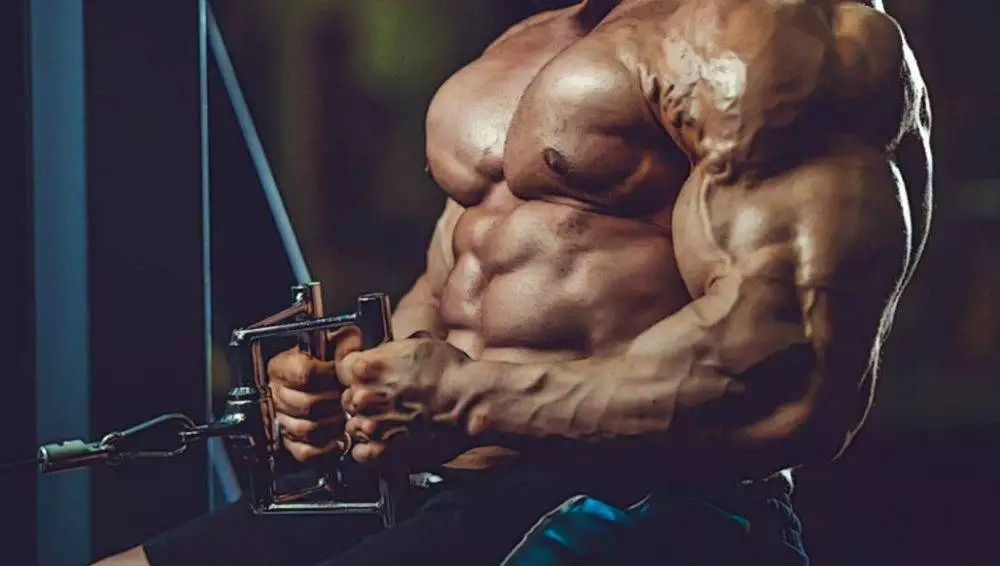 مجموعة تمارين الظهر الأساسية