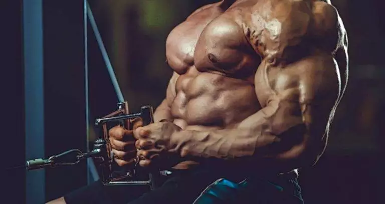 مجموعة تمارين الظهر الأساسية