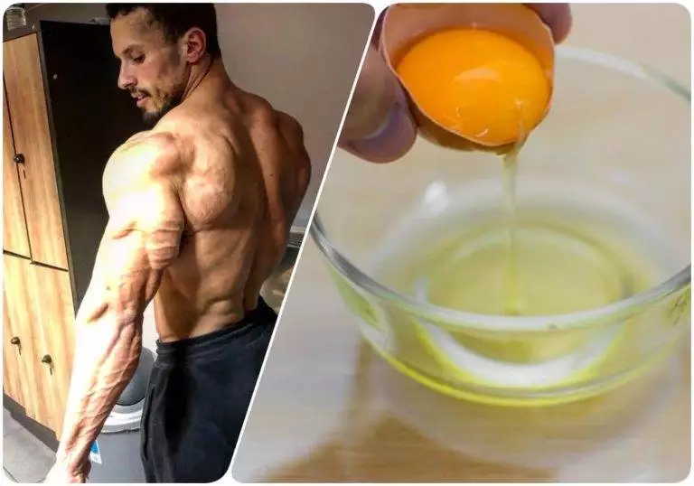 لماذا لا ينصح بإكثار من صفار البيض بالنسبة للاعب بناء الأجسام