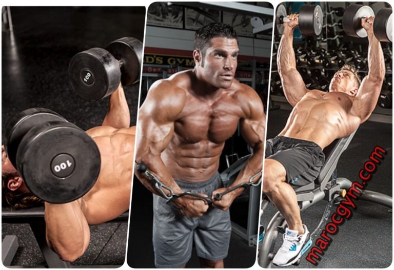 حصة الصدر بنظام تري سات