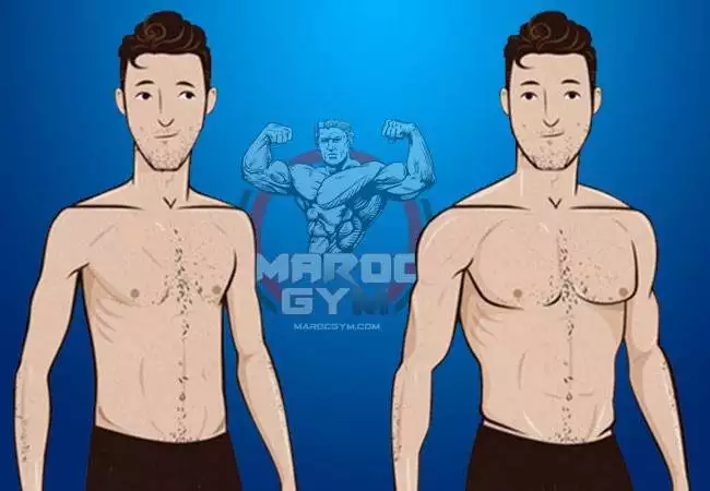 The Ectomorph’s Handbook: Essential Tips for Gaining Weight