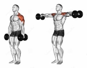 حصة الكتف من 6 تمارين مميزة - صورة 3