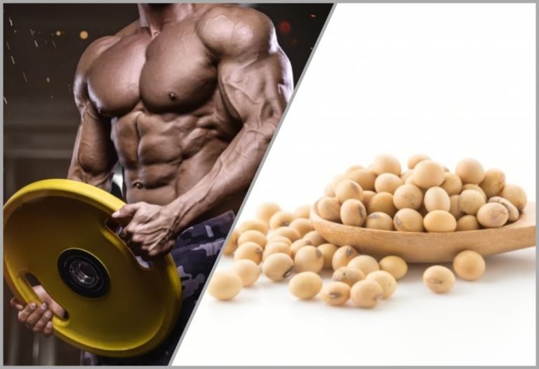 فوائد فول الصويا و أضرار الإكثار منه بالنسبة للاعب كمال الأجسام