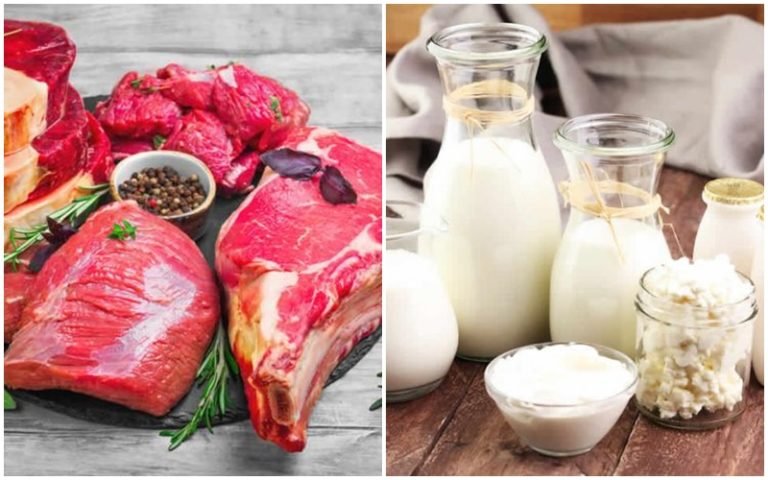 الفرق بين بروتين مصل اللبن و بروتين لحم البقر