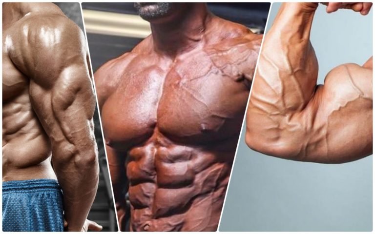 حصة الصدر والدراع (البيسبس و الترايسبس)