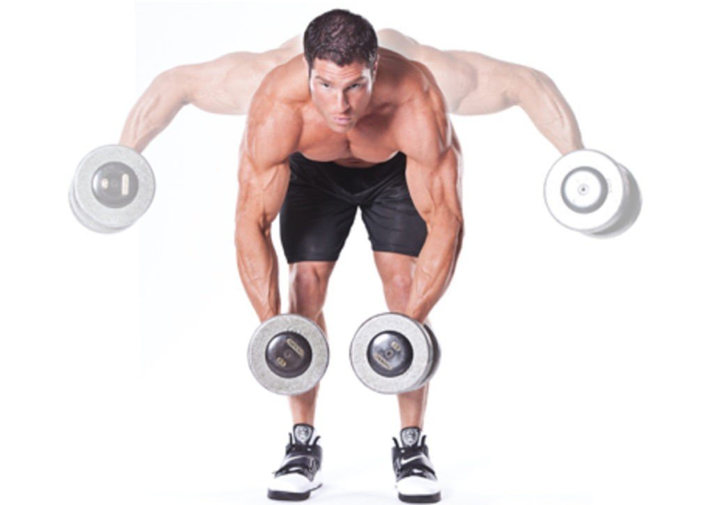 Bent Over Lat Raise Benefits