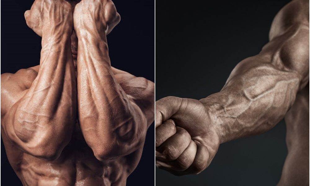 أفضل التمارين لتقوية عضلة الساعد