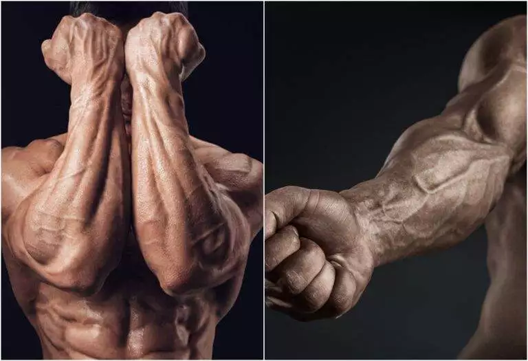 The best exercises to strengthen the forearm muscle
