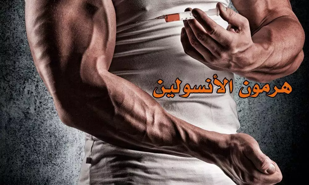 هرمون الأنسولين وعلاقته بالتضخيم العضلي