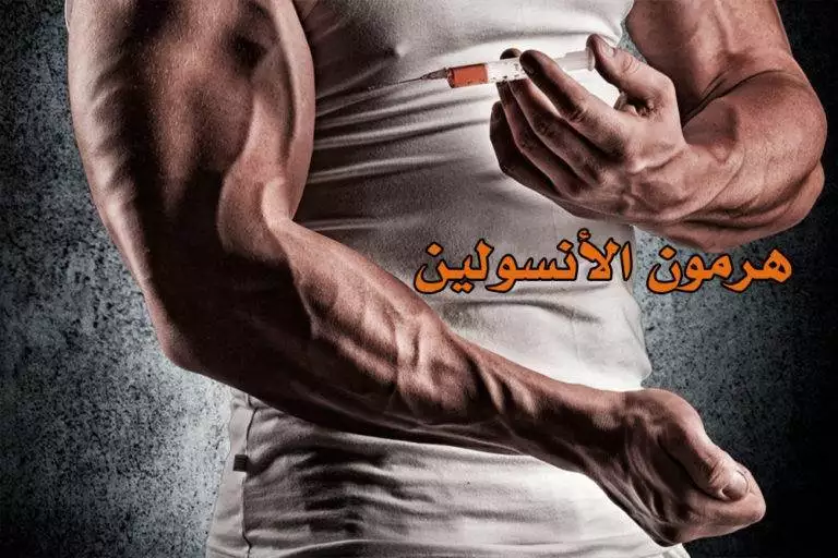 هرمون الأنسولين وعلاقته بالتضخيم العضلي
