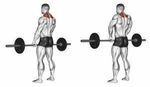 5 Barbell Exercises for Explosive Shoulder Strength - صورة 3