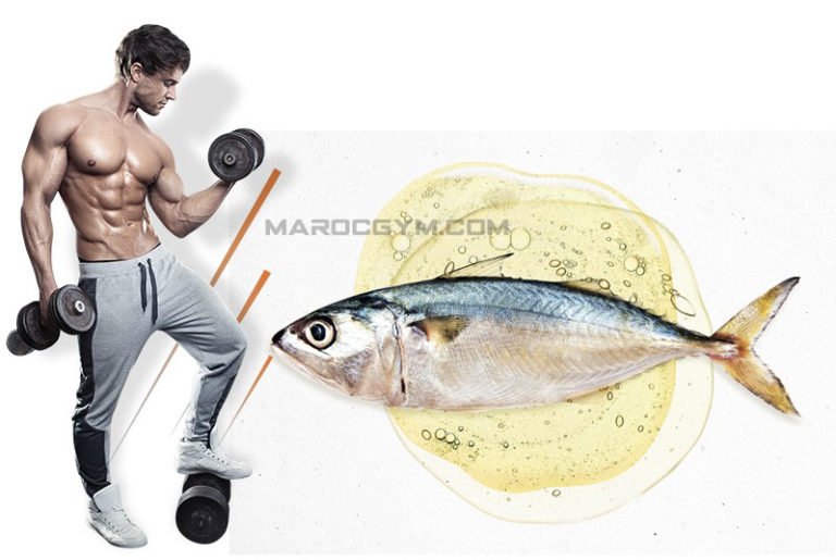 Fish oil and its importance in building muscle