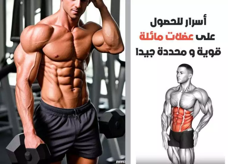 7 أسرار لتطوير عضلات مائلة قوية و محددة جيدا