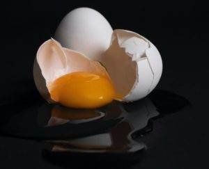 egg diet,stubborn fat,personal tariner,gym insurance