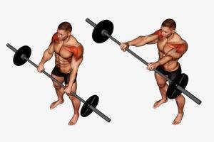 5 Barbell Exercises for Explosive Shoulder Strength - صورة 5