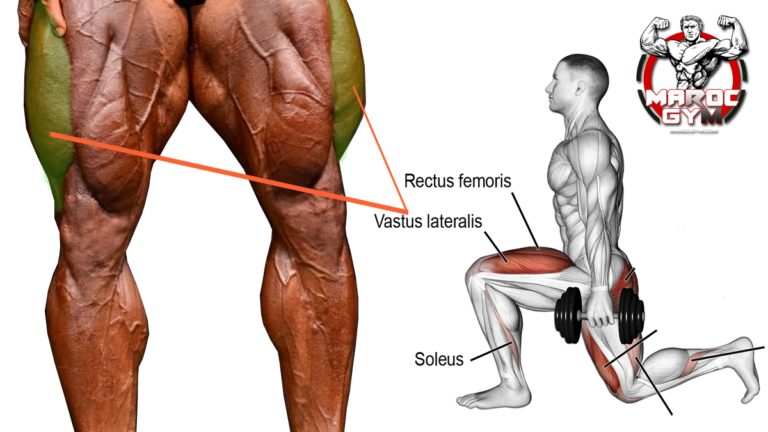 5 Leg exercises targeting the vastus lateralis (outer side of the quadriceps muscle)