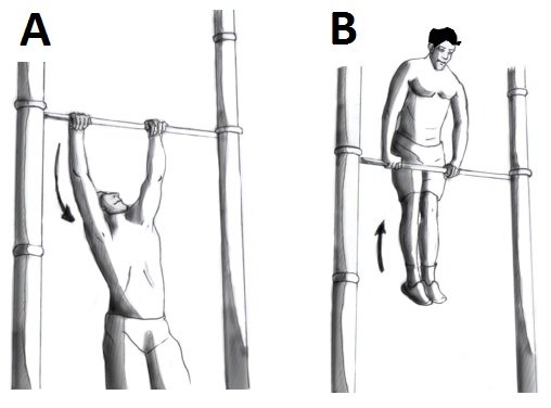 رياضي يؤدي تمرين الماسل أب (Muscle-up)